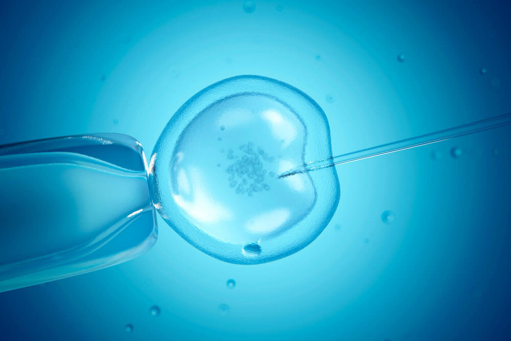 Tajomstvo embryí: Nové možnosti predikcie úspechu IVF